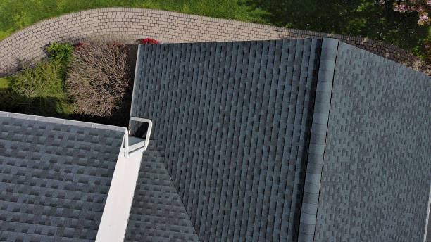 Best Roof Moss and Algae Removal  in Lakeland, MN